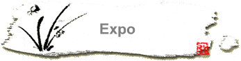 Expo